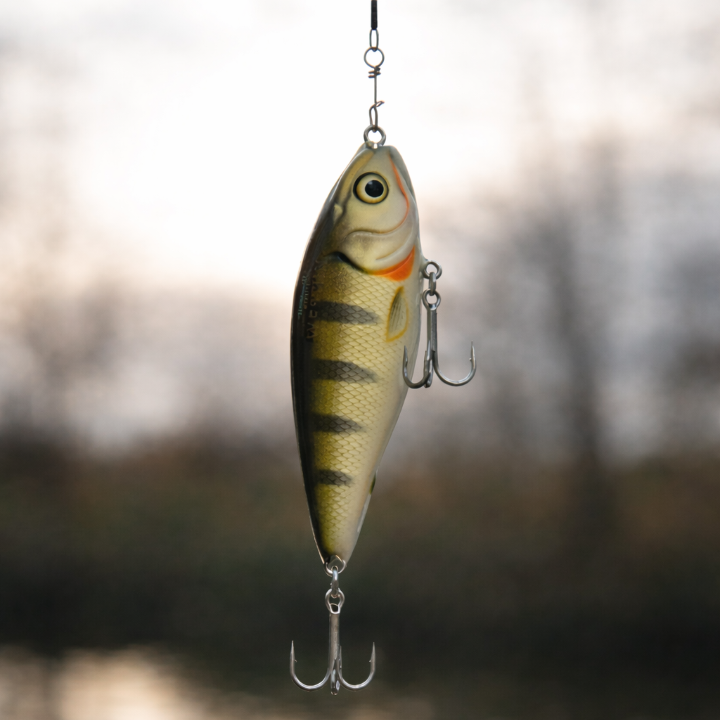 Jerkbait