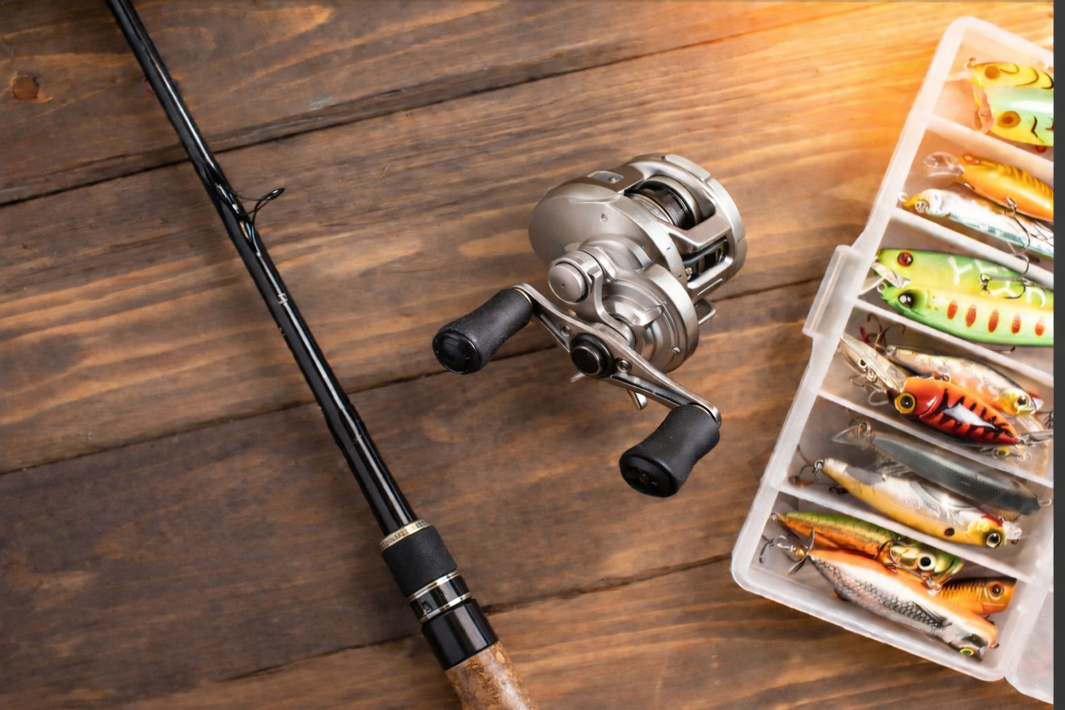 Baitcasting Reels (JDM)