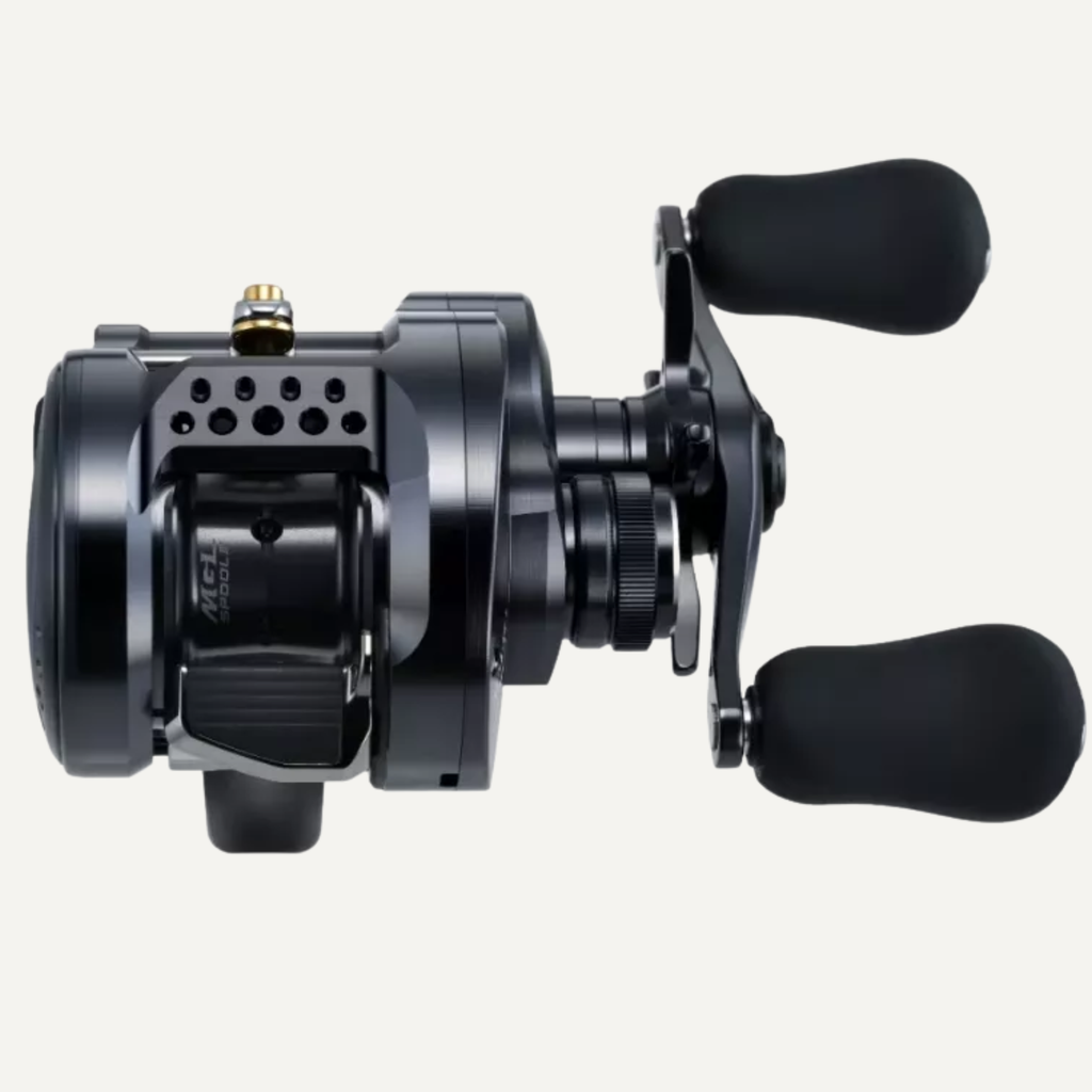Shimano Calcutta Conquest 31HG Shallow (2024) – JDM Baitcaster