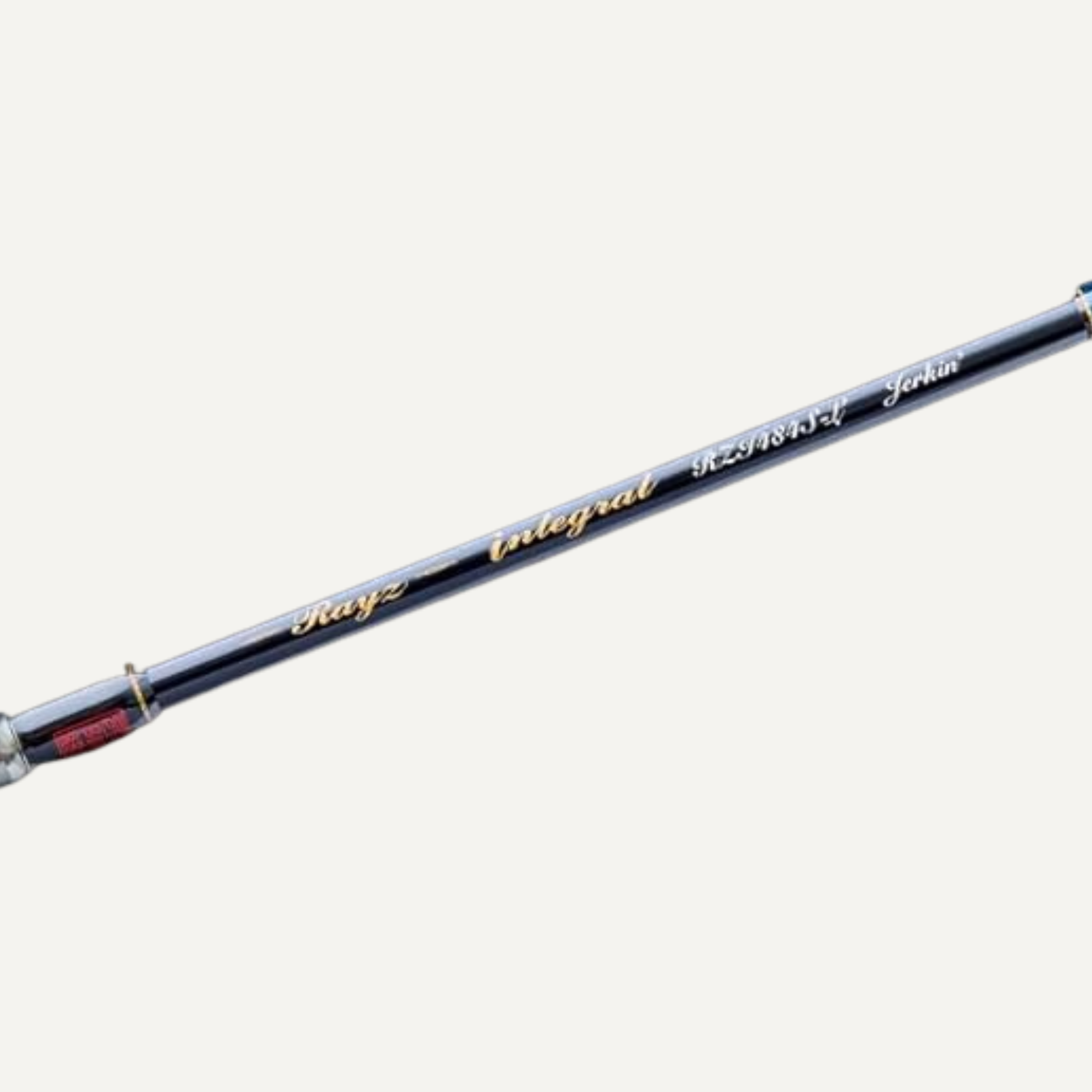 TENRYU Rayz Integral RZI845S-MH